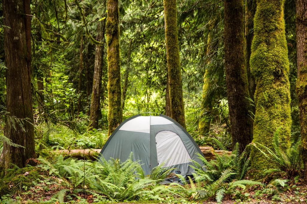 Mount Hood Village Yurt 1 מראה חיצוני תמונה